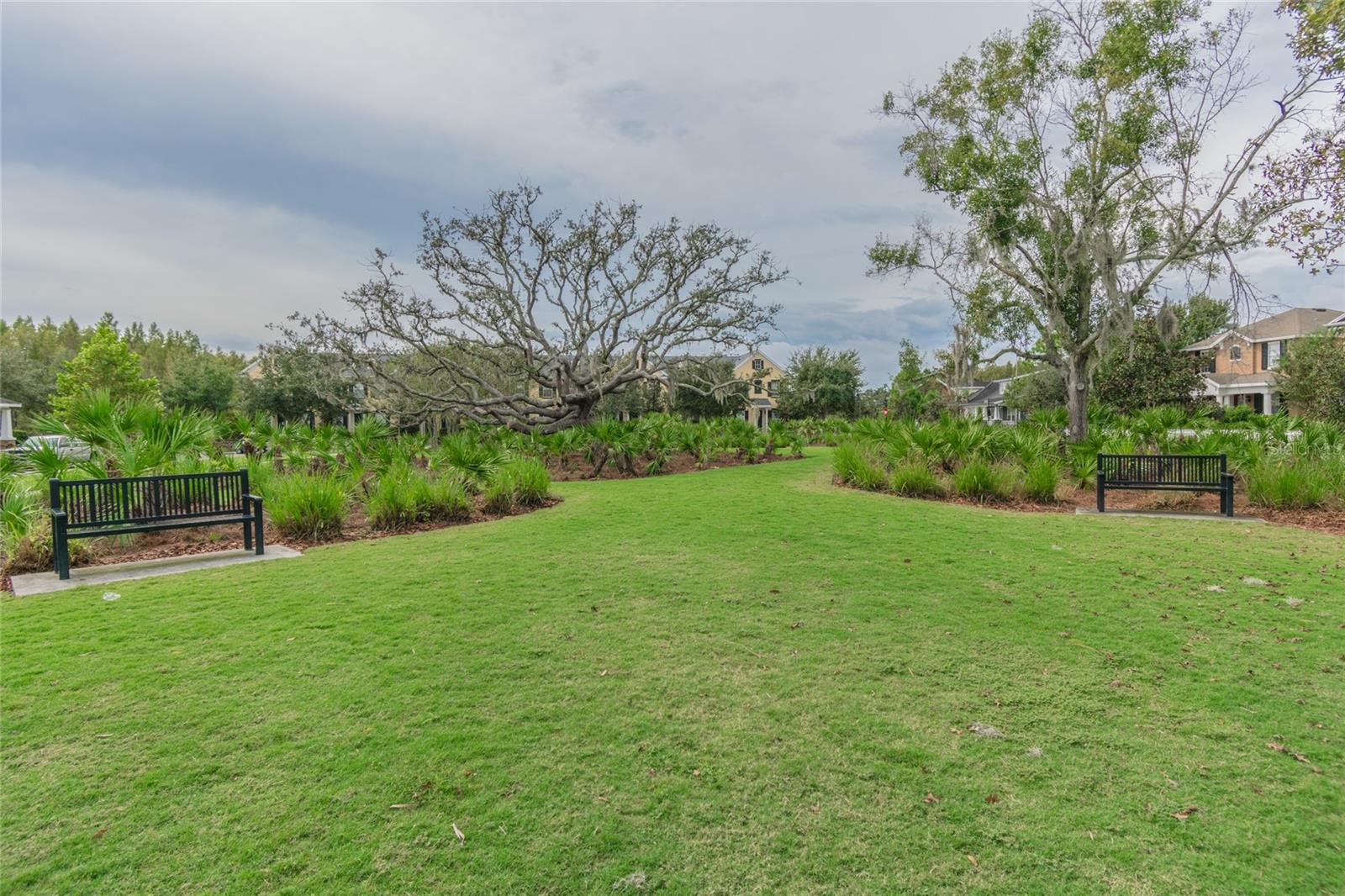 LONGLEAF NBRHD 3 - Residential