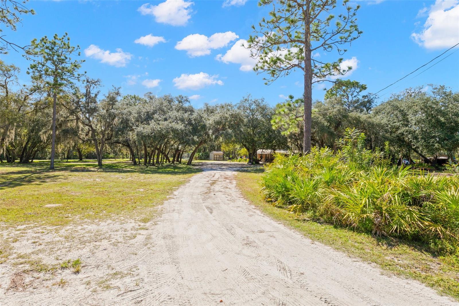 3310 BOB CAT TRAIL