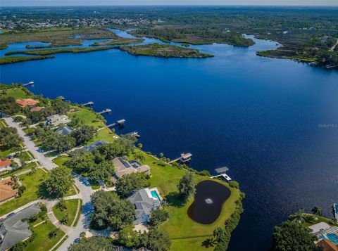 A home in TARPON SPRINGS