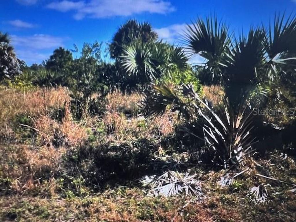 Photo of 45 Barnsdale Circle, North Port, FL 34288 (MLS # C7522851)