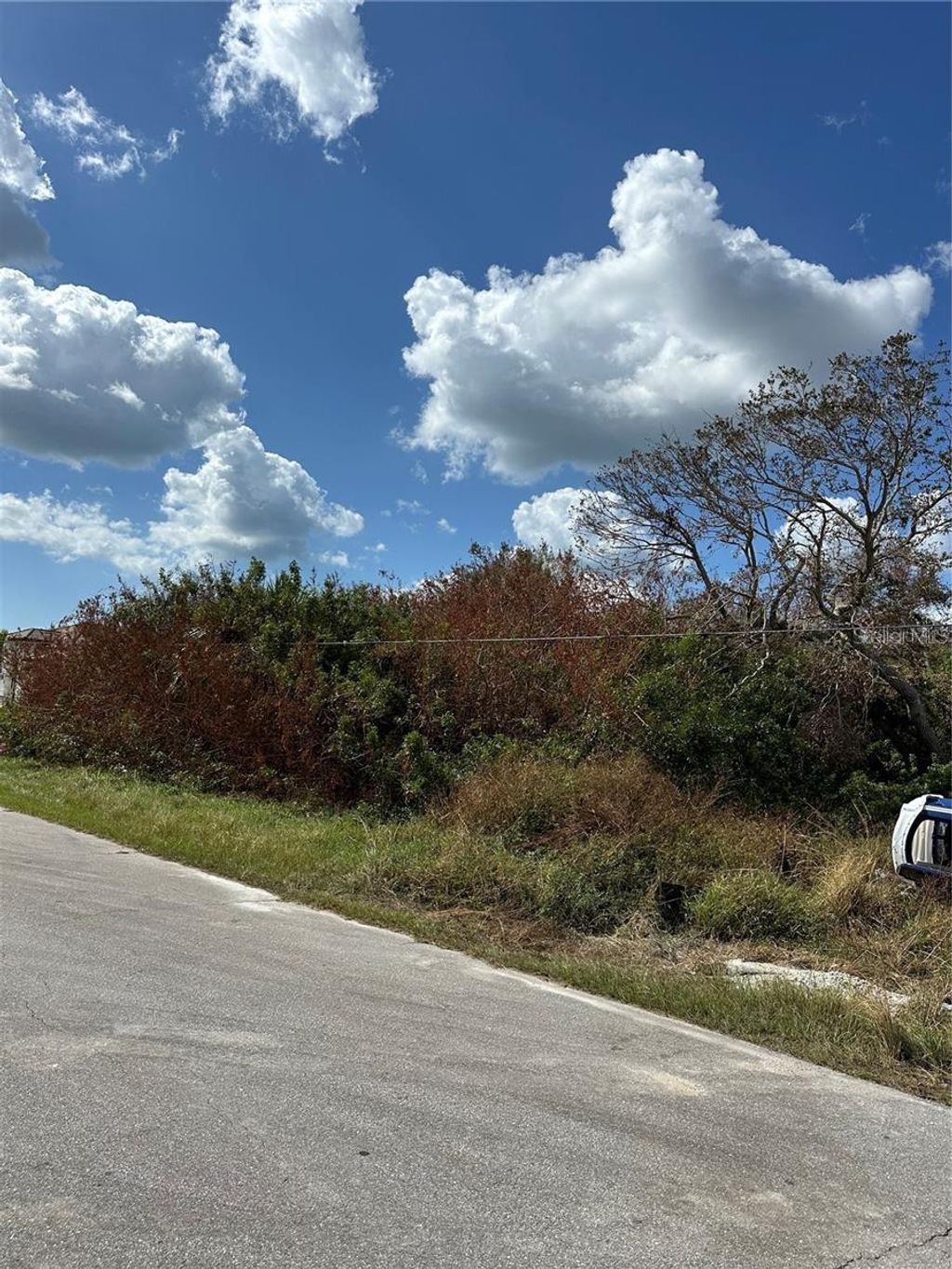 Photo of 232 Spring Drive, Rotonda West, FL 33947 (MLS # A4659851)
