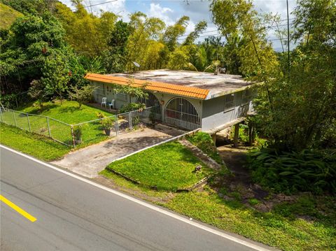 Road 143 KILO 54.6 BARRANQUITAS  00794