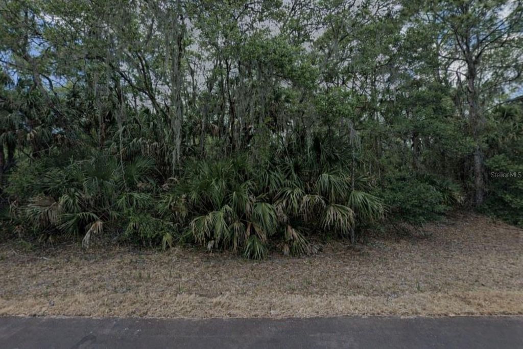 Photo of 297 Biltmore Street, Port Charlotte, FL 33953 (MLS # C7520086)