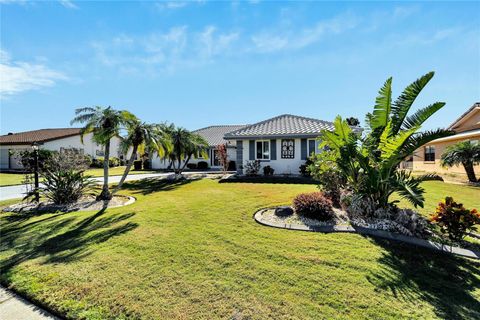 A home in SUN CITY CENTER