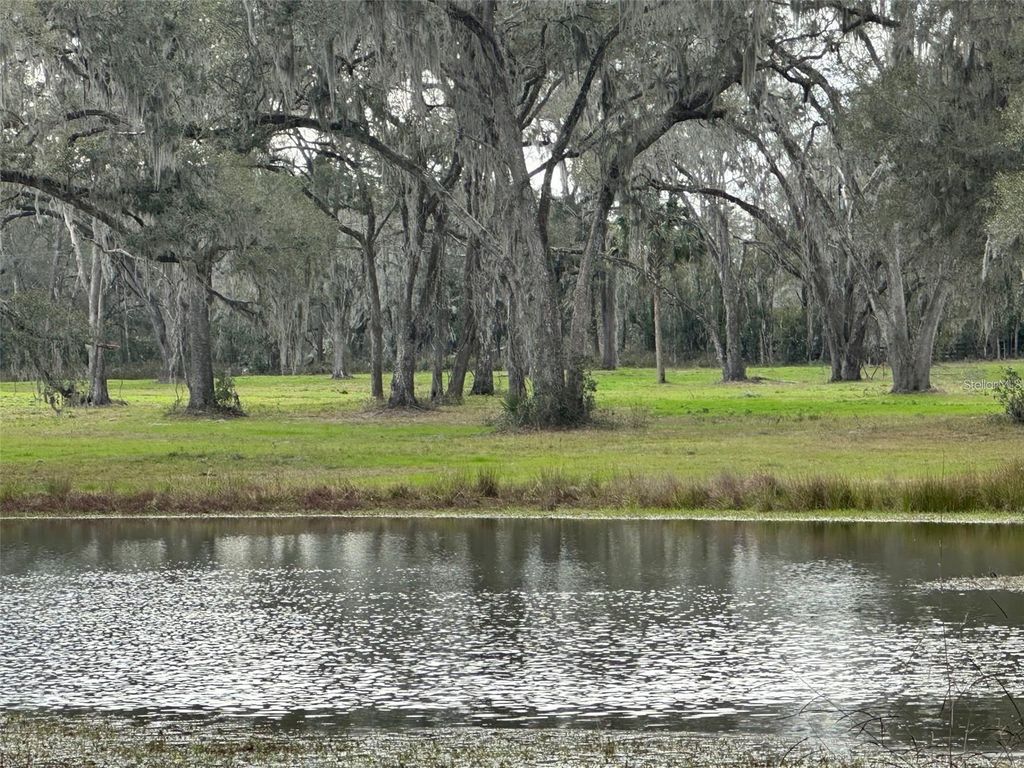 Photo of Tbd NW 160th Street, Reddick, FL 32686 (MLS # OM716683)