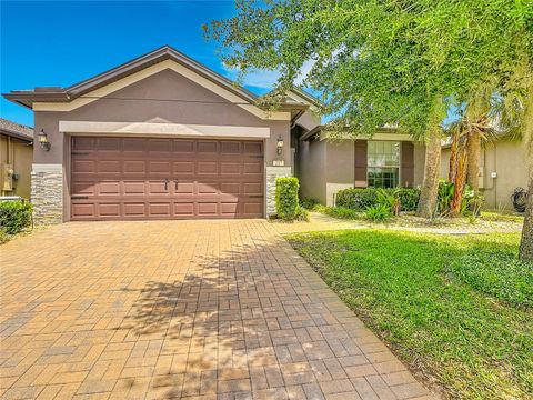 Photo of 217 Montoro Lane, Davenport, FL 33837 (MLS # O6403550)