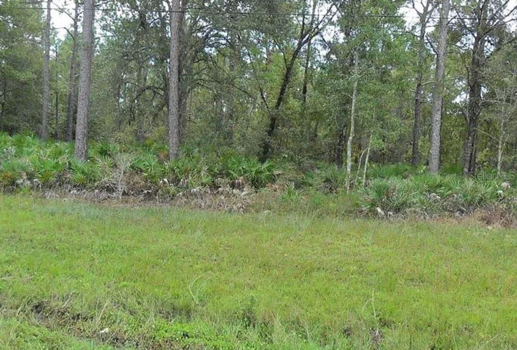 Photo of E Colonial Drive, Christmas, FL 32709 (MLS # O6402146)