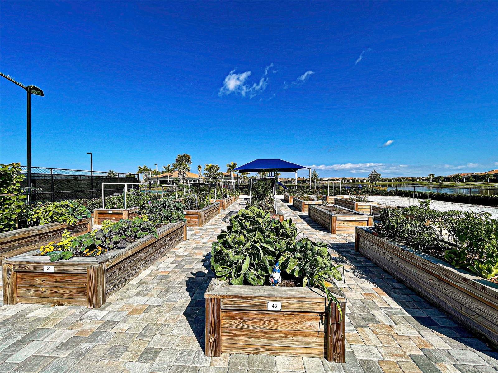 ISLANDWALK/THE WEST VLGS PH 6 - Residential