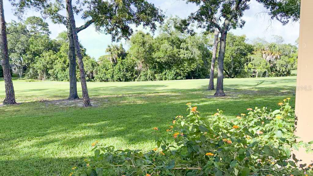 BEACON WOODS WEDGEWOOD CONDO - Residential