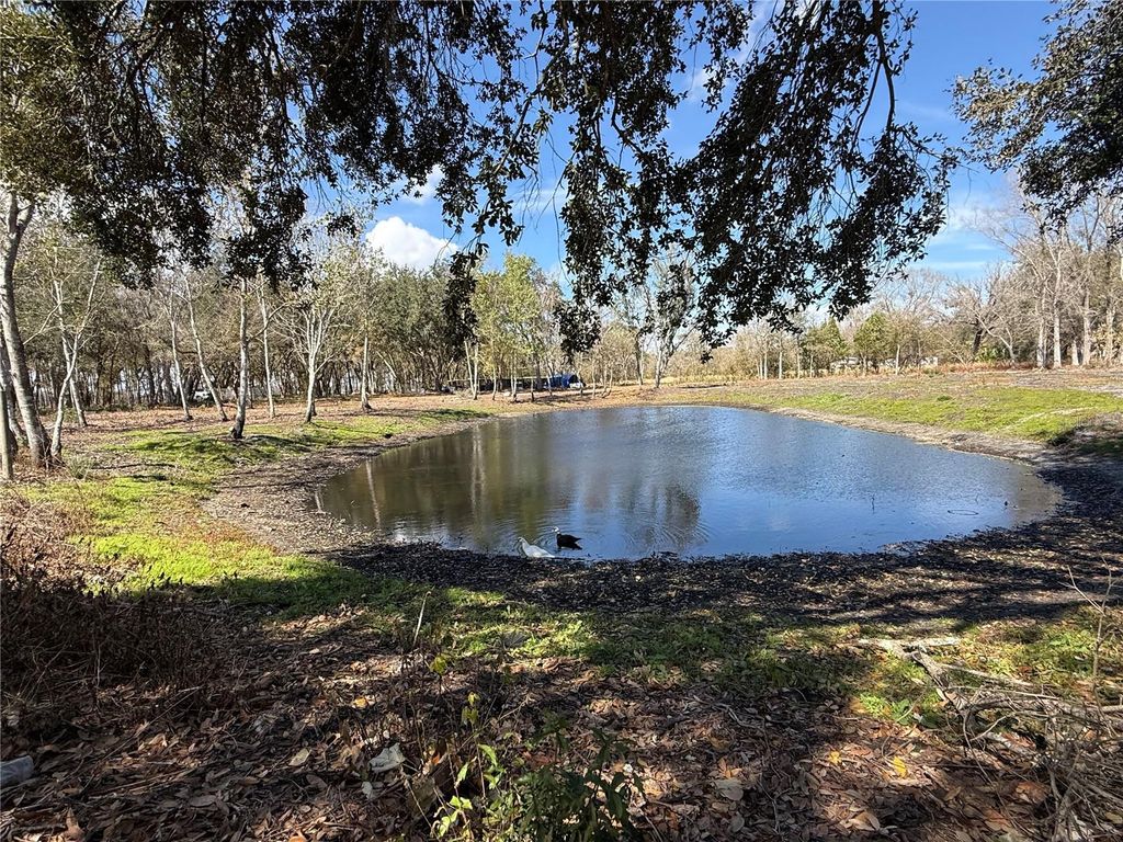 Photo of 6001 Five Acre Road, Plant City, FL 33565 (MLS # TB8477262)