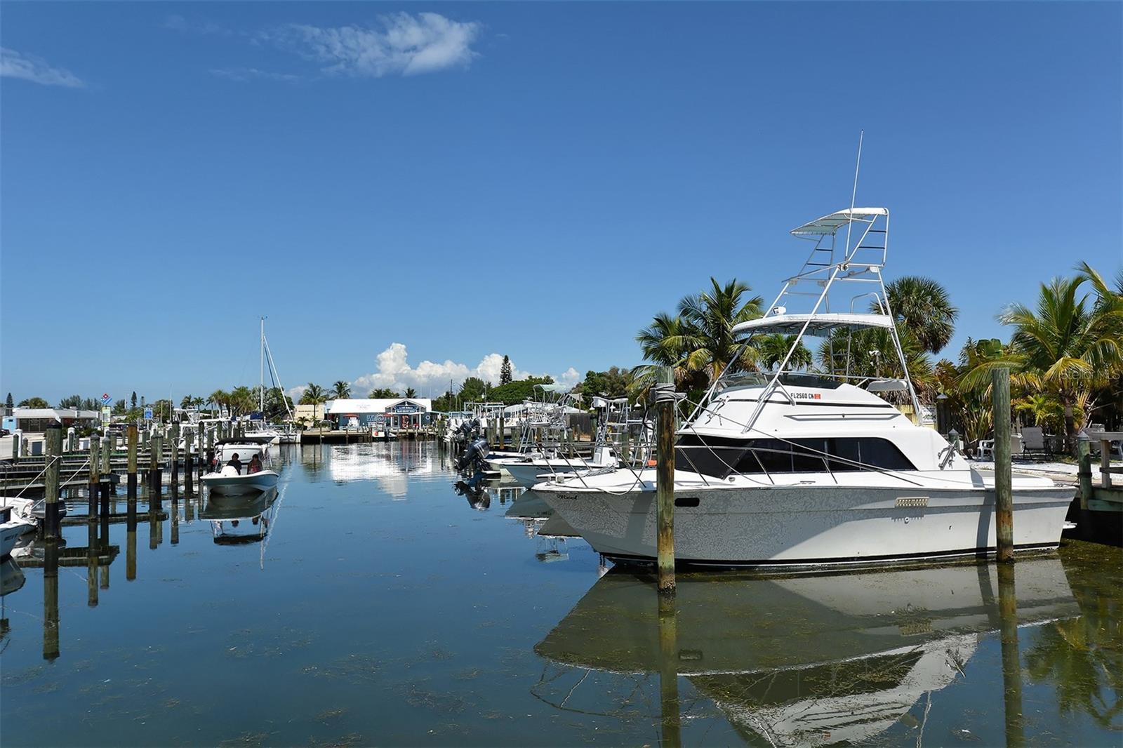 VILLAGE GREEN OF BRADENTON - Residential