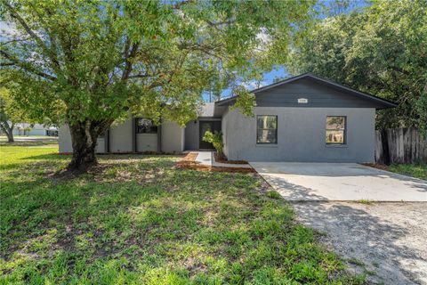 1189 RIB AVENUE ST CLOUD FL 34771
