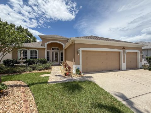 11610 GROVE ARCADE DRIVE RIVERVIEW FL 33569