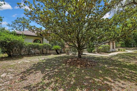 Tiny photo for 862 W National Street, Hernando, FL 34442 (MLS # W7886052)
