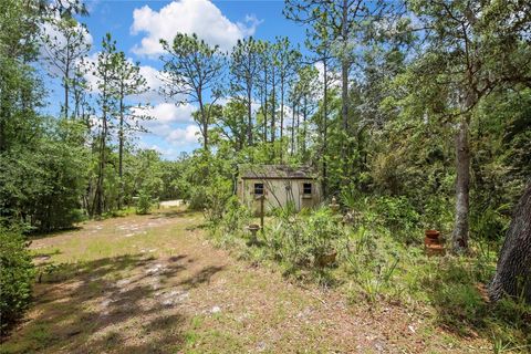 Tiny photo for 862 W National Street, Hernando, FL 34442 (MLS # W7886052)