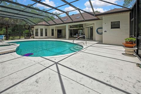 Tiny photo for 862 W National Street, Hernando, FL 34442 (MLS # W7886052)