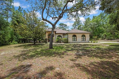 Tiny photo for 862 W National Street, Hernando, FL 34442 (MLS # W7886052)