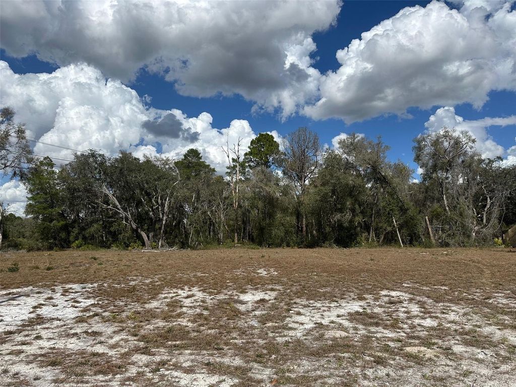 Photo of Dunnellon, FL 34434 (MLS # OM720237)