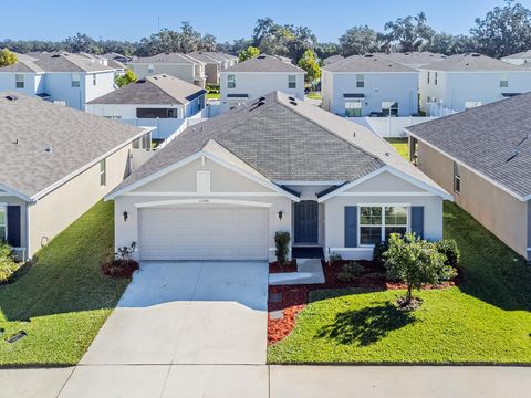 Photo of 13748 Wineberry Drive, Dade City, FL 33525 (MLS # TB8448562)