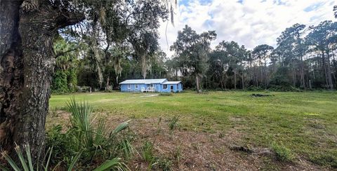 Photo of 123 Linderwood Drive, Georgetown, FL 32139 (MLS # V4945105)