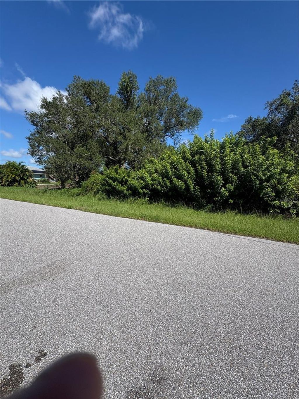 Photo of 12773 Bacchus Road, Port Charlotte, FL 33981 (MLS # C7514776)