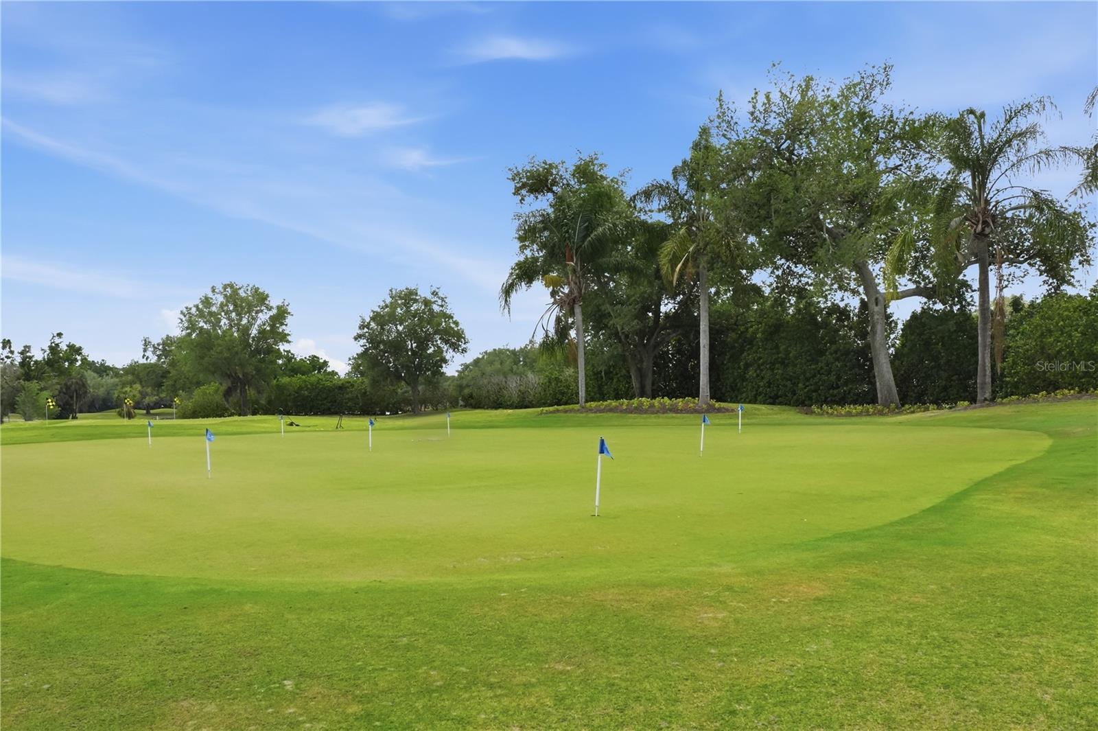 FAIRWAY GARDENS AT TARA - Residential