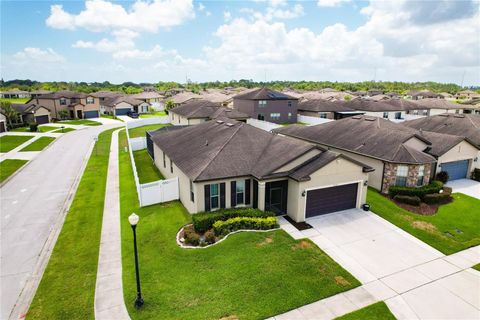 A home in POLK CITY