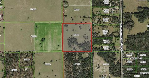 Tiny photo for 12884 S Pleasant Grove Road, Floral City, FL 34436 (MLS # W7831104)