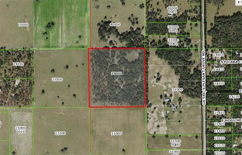 Tiny photo for 12884 S Pleasant Grove Road, Floral City, FL 34436 (MLS # W7831104)