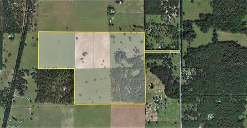 Tiny photo for 12884 S Pleasant Grove Road, Floral City, FL 34436 (MLS # W7831104)