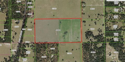 Tiny photo for 12884 S Pleasant Grove Road, Floral City, FL 34436 (MLS # W7831104)