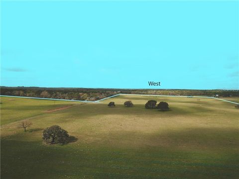 Tiny photo for 12884 S Pleasant Grove Road, Floral City, FL 34436 (MLS # W7831104)