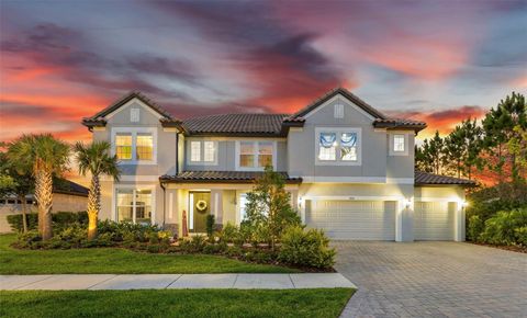 A home in WESLEY CHAPEL