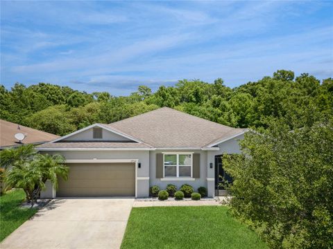 A home in KISSIMMEE