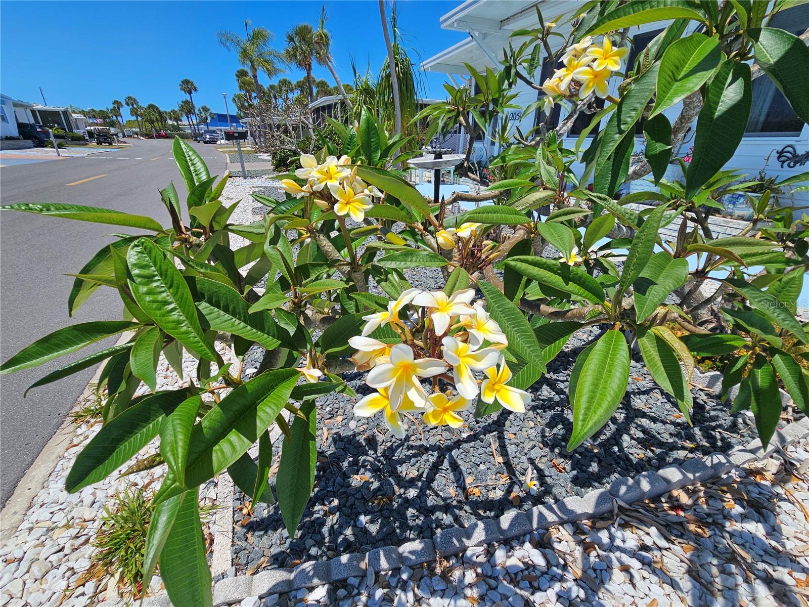 VENICE ISLE - Residential