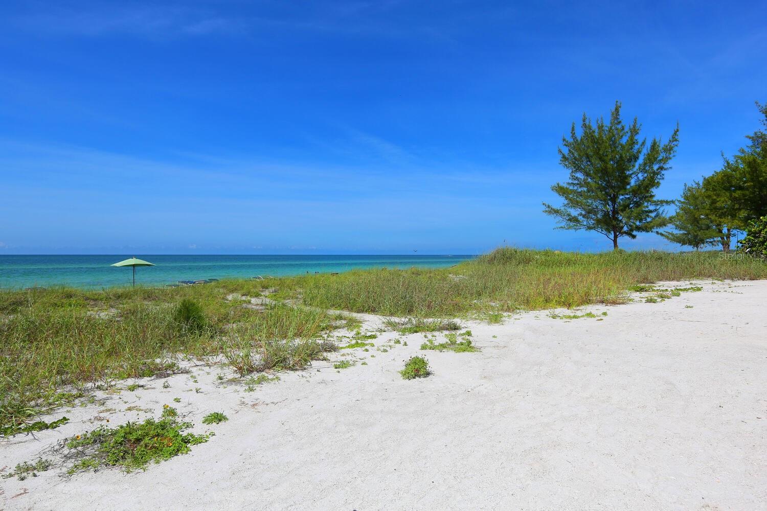 BAYPORT BCH & TEN PH F - Residential Lease