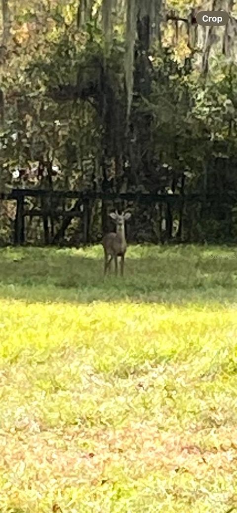 Tiny photo for 0 N Hwy Us 27, Ocala, FL 34482 (MLS # OM714577)