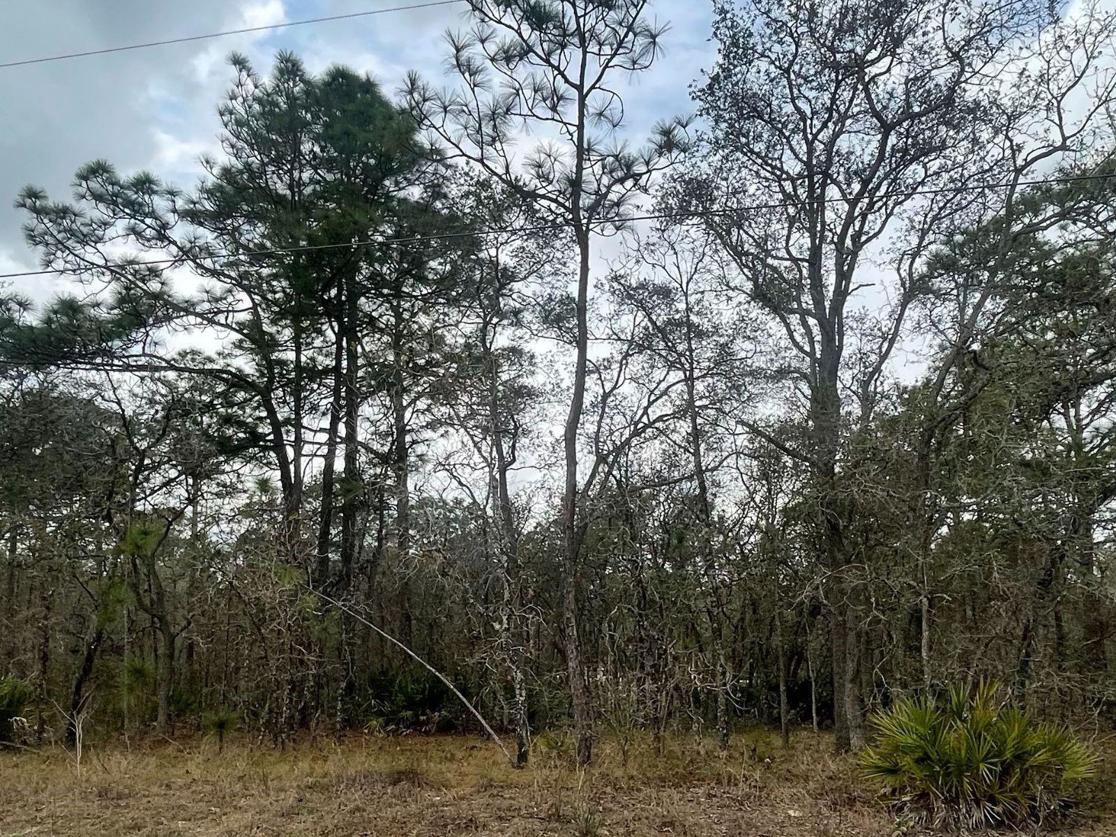 ROYAL HIGHLANDS UNIT 7 - Land