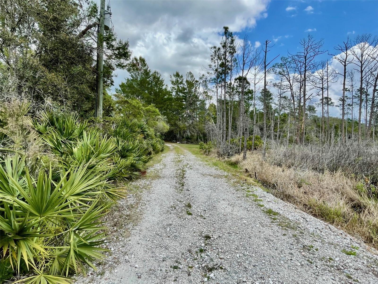 SEMINOLE WOODS 5 AC DEV - Residential