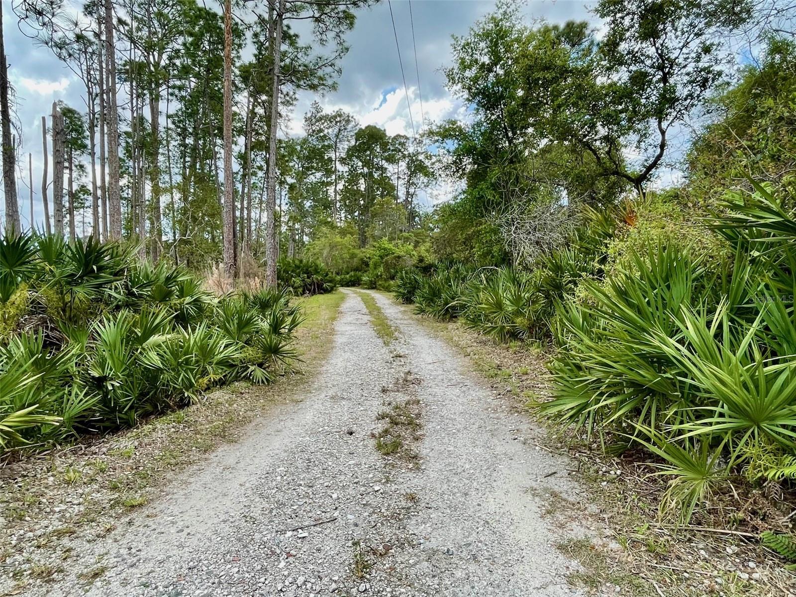 SEMINOLE WOODS 5 AC DEV - Residential