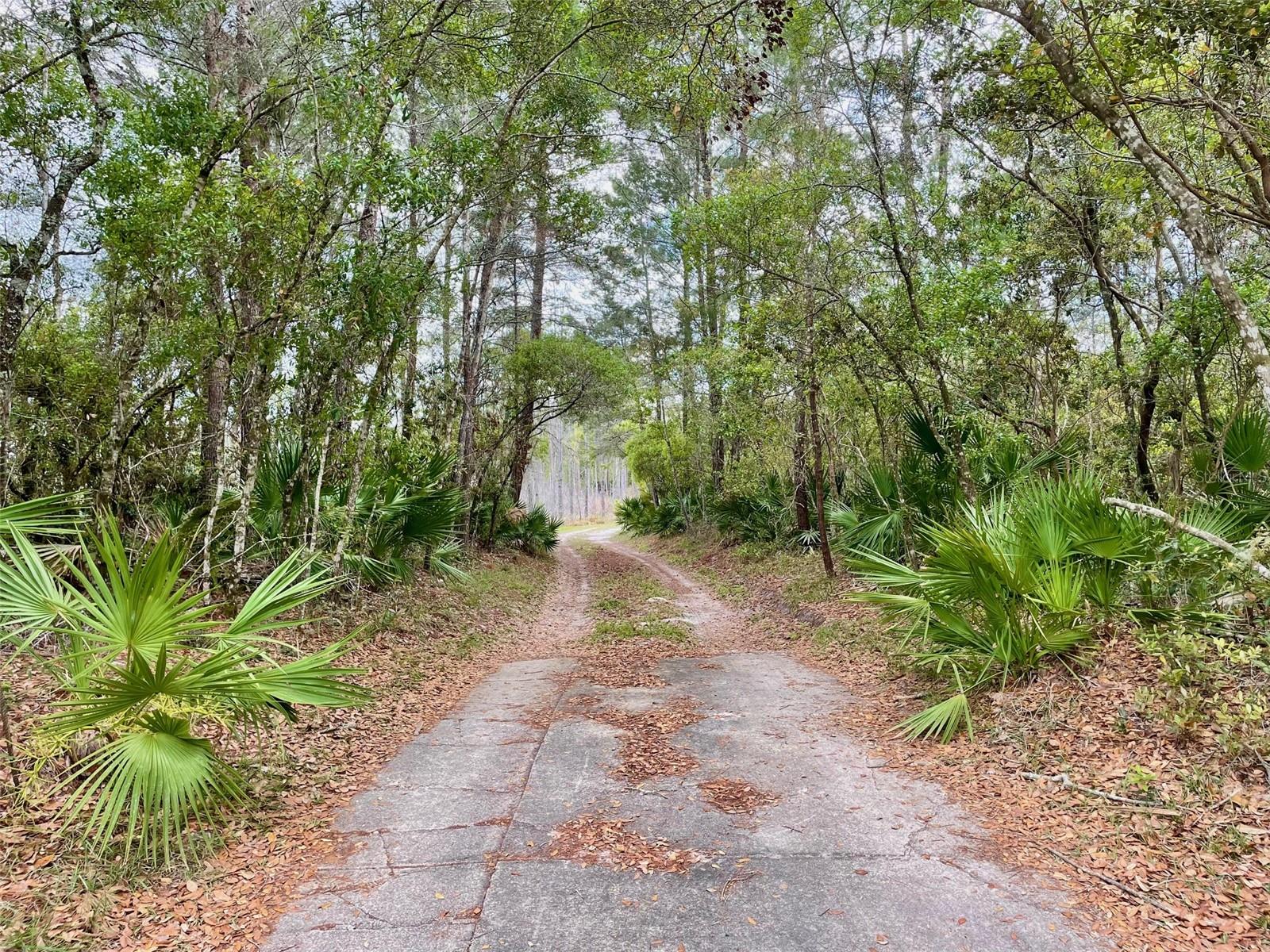 349 SEMINOLE WOODS BLVD