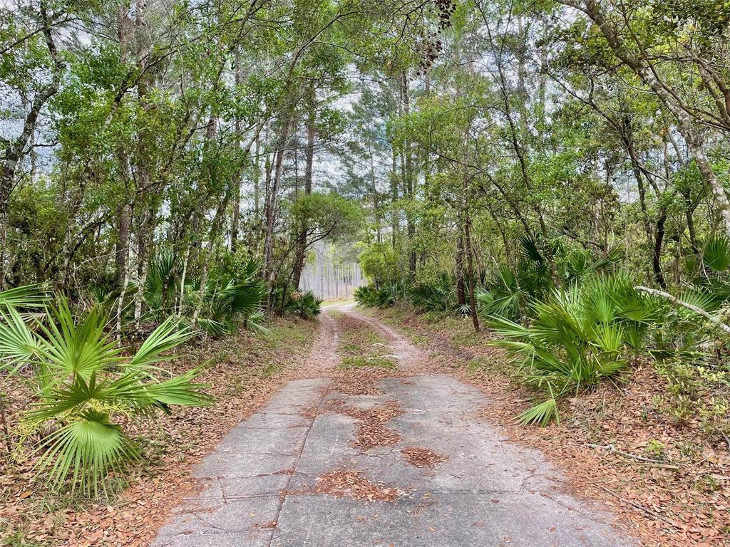 Photo of 349 Seminole Woods Blvd, Geneva, FL 32732 (MLS # O6394362)