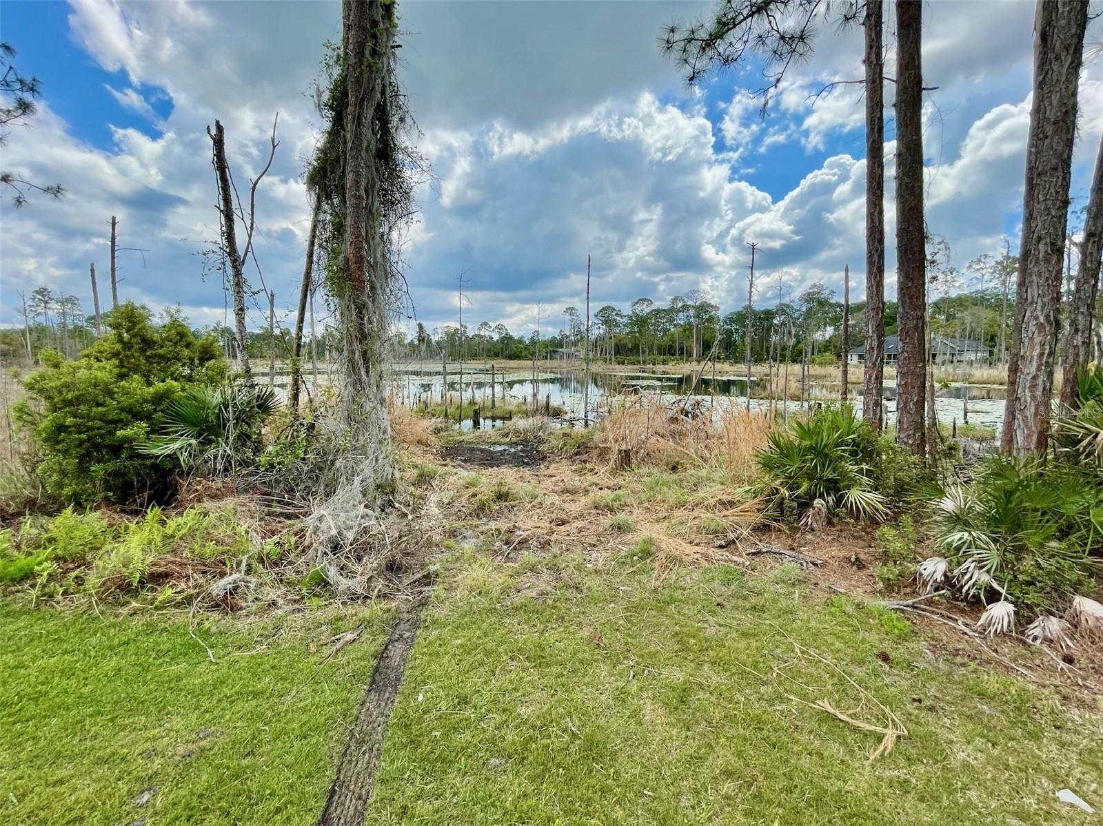 SEMINOLE WOODS 5 AC DEV - Residential