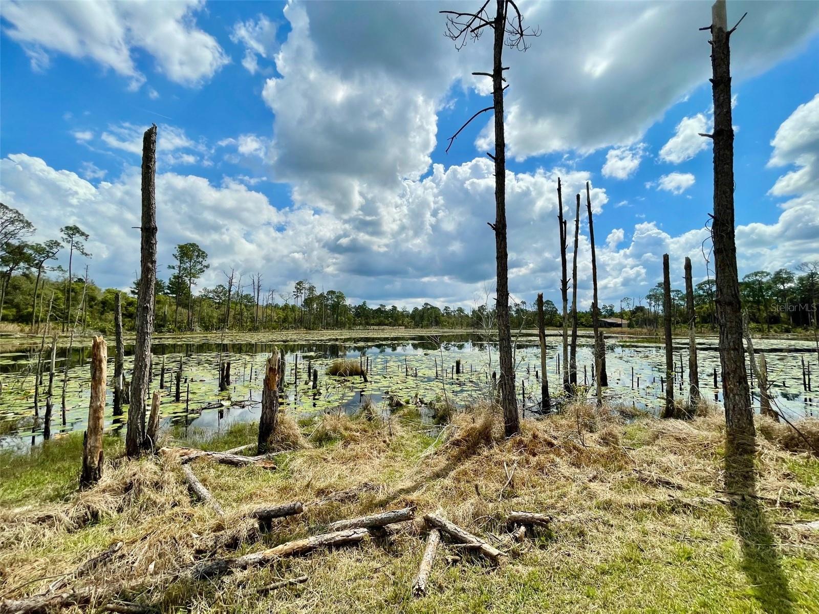 SEMINOLE WOODS 5 AC DEV - Residential