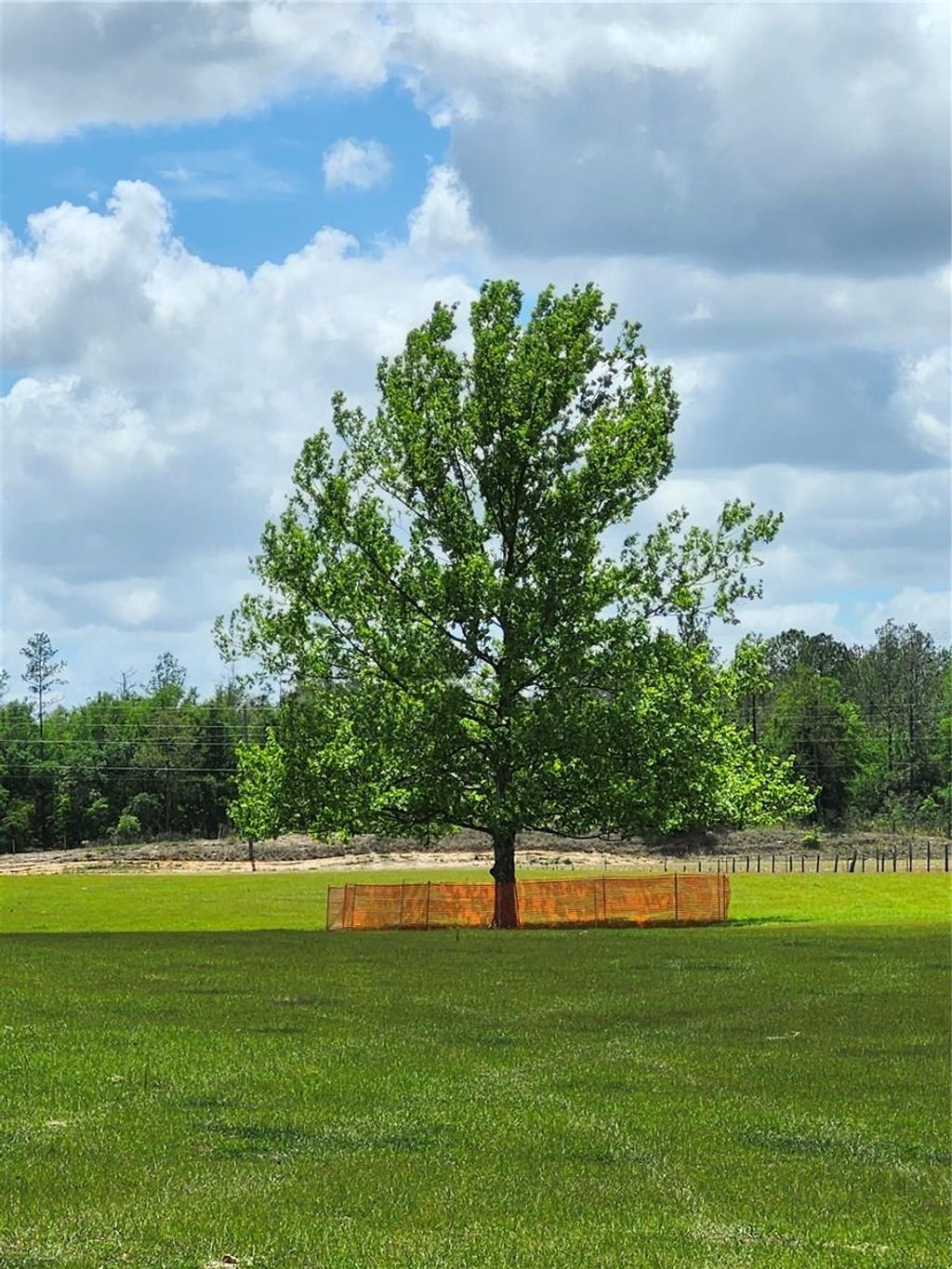 Photo of 0 Christian Road #Lot 1, Dade City, FL 33523 (MLS # TB8499965)