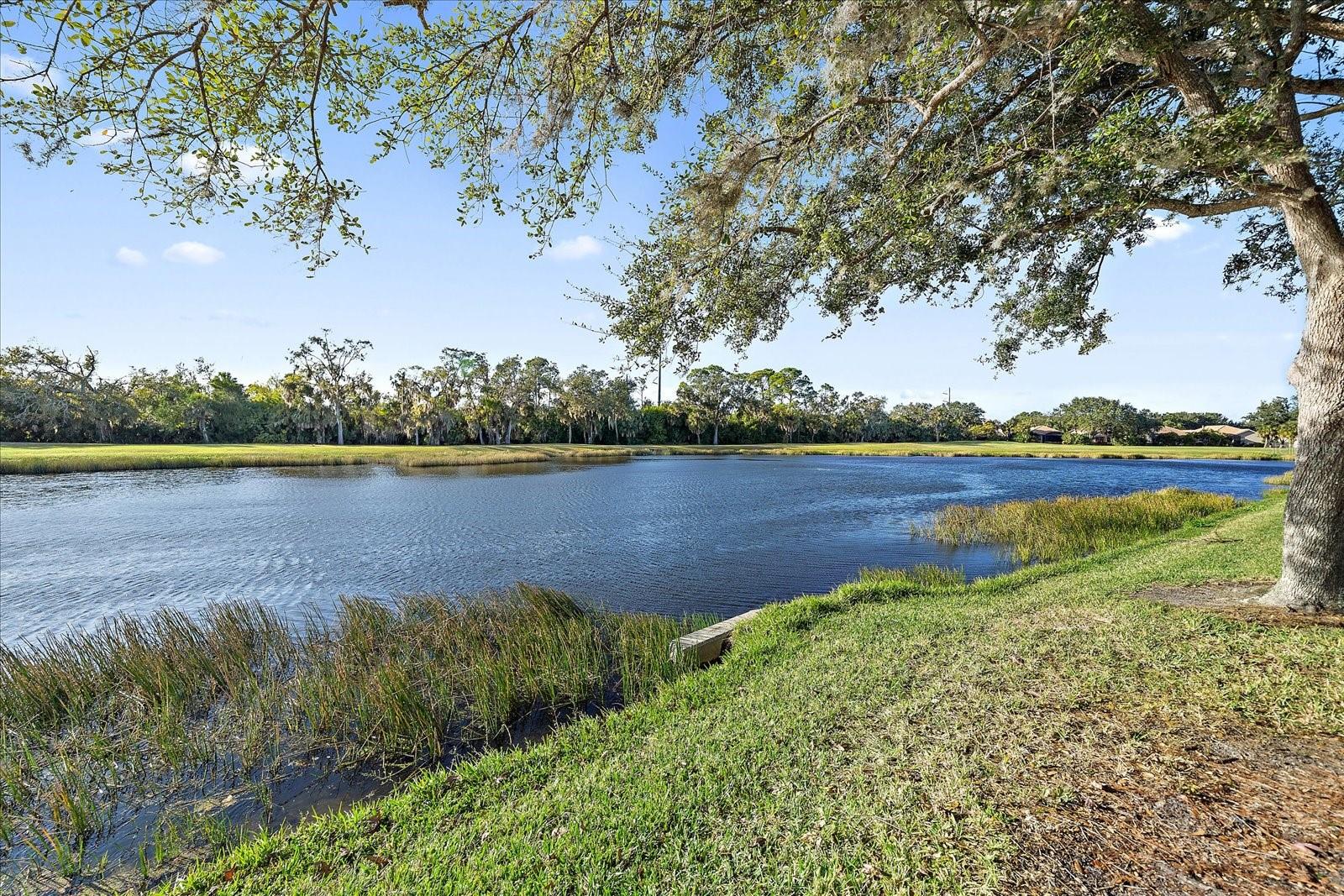 GRAND OAK AT TARA - Residential