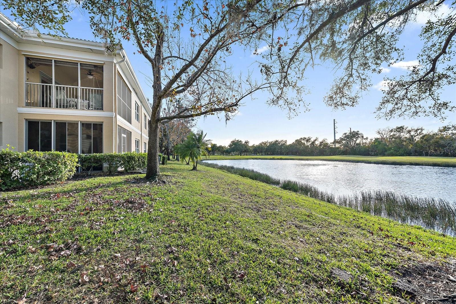 GRAND OAK AT TARA - Residential