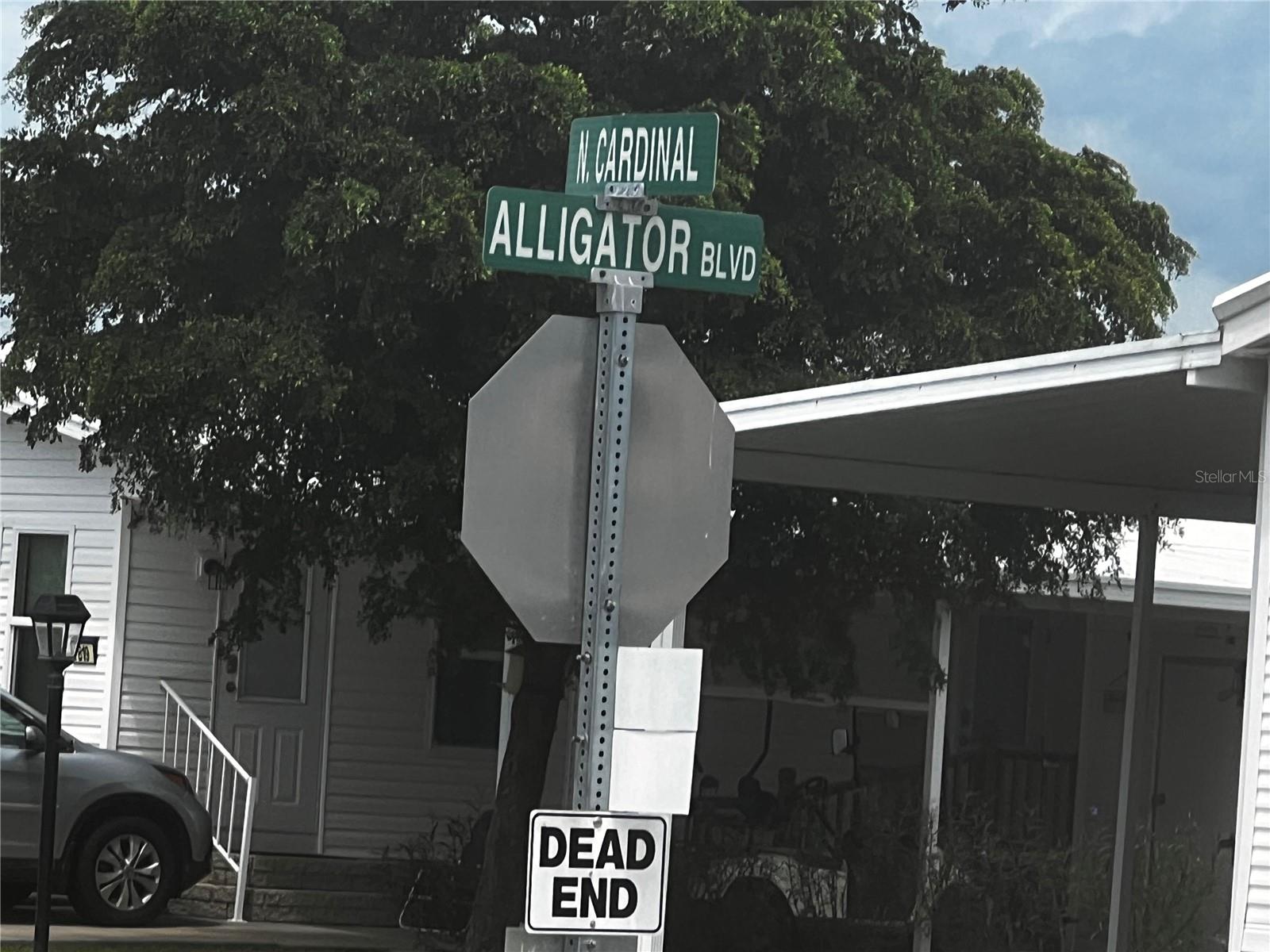 ALLIGATOR PARK - Residential