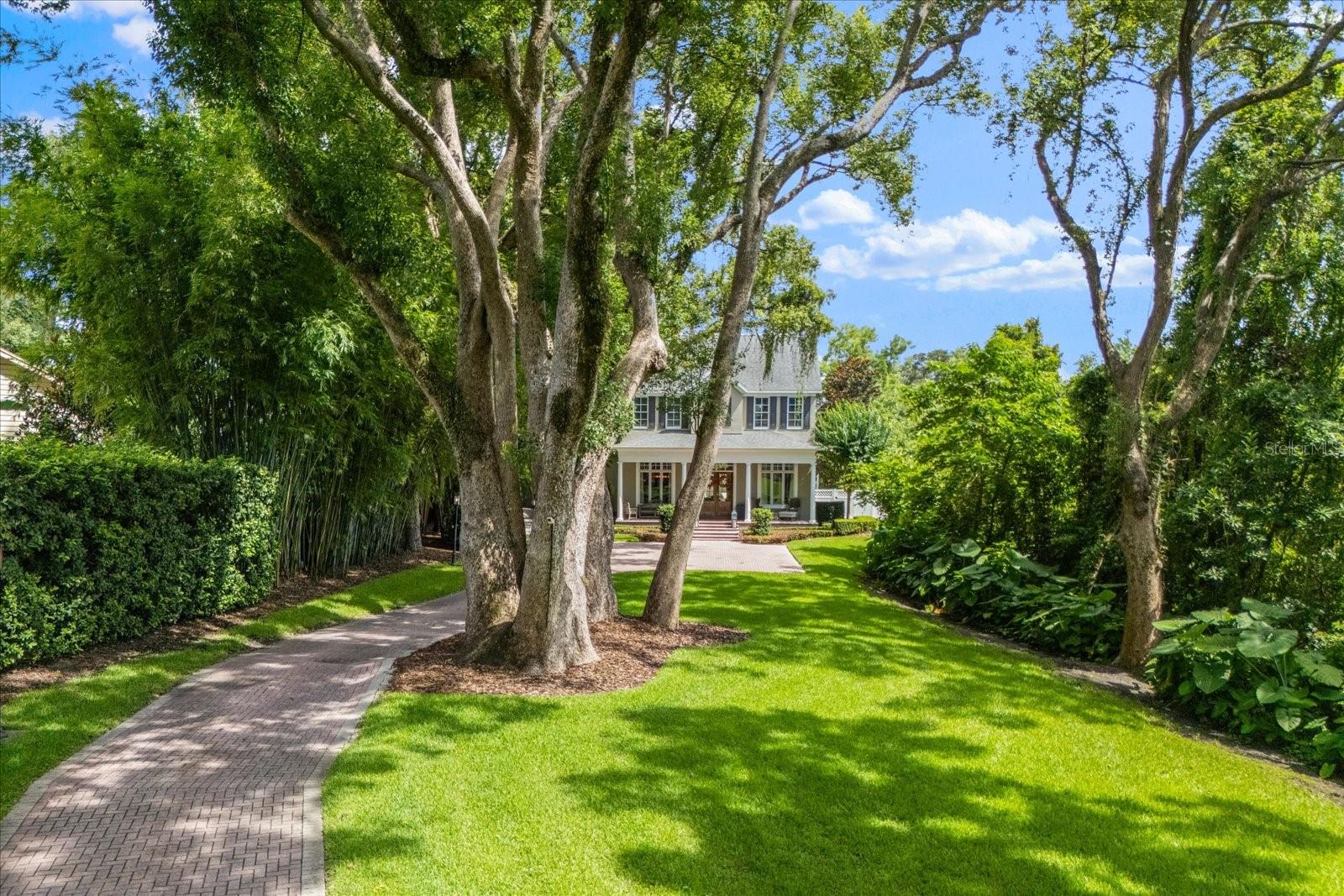 685 MAYO AVENUE