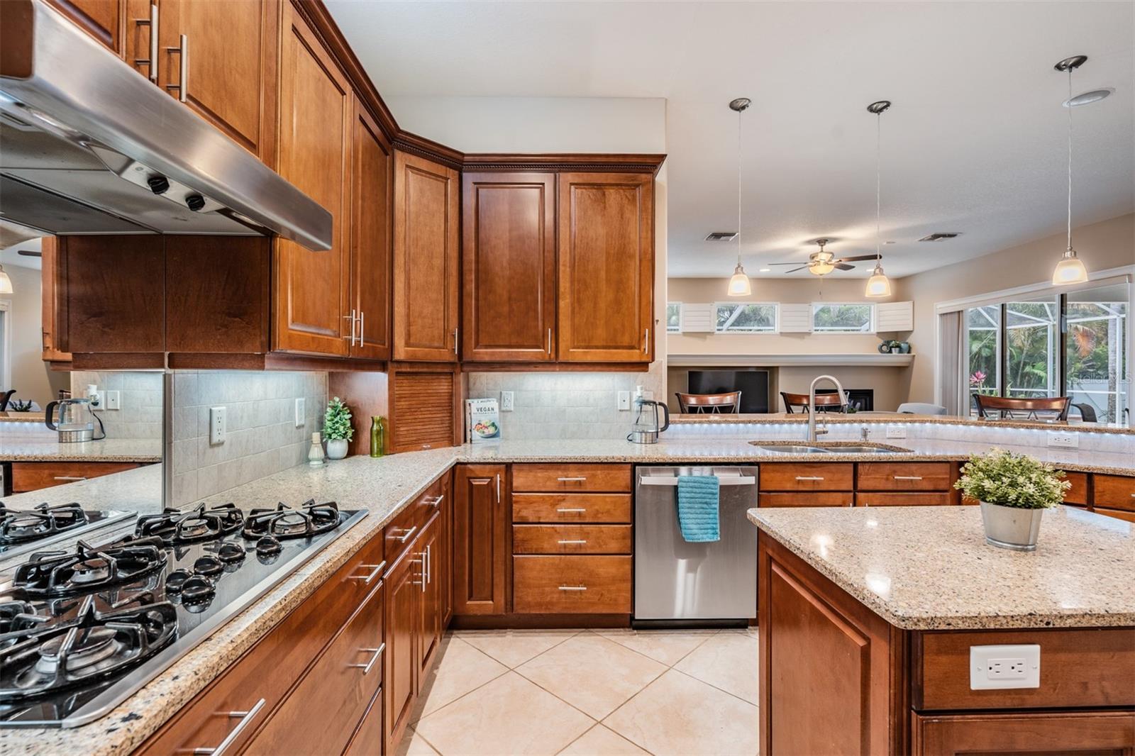 DUNEDIN RIDGE SUB - Residential